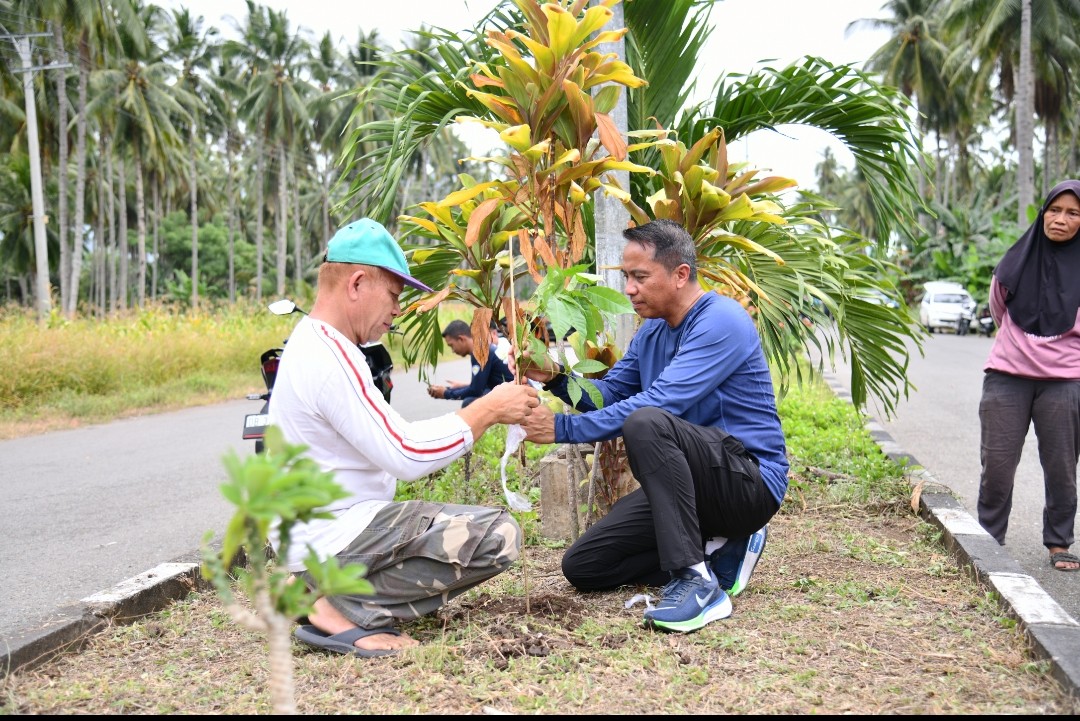 Perindah Wajah Ibu Kota, Bupati SSM Bersama OPD lakukan Penanaman Pohon Tabebuya